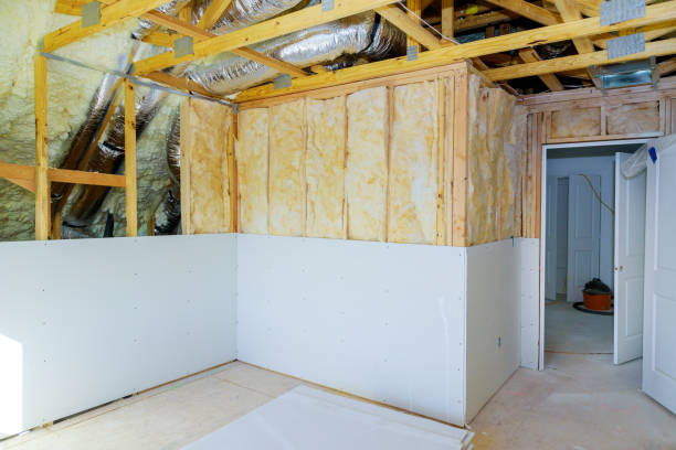 Best Insulation Installation Services in Lodi, CA