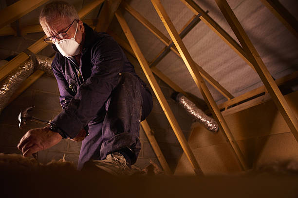 Best Types of Insulation in Lodi, CA