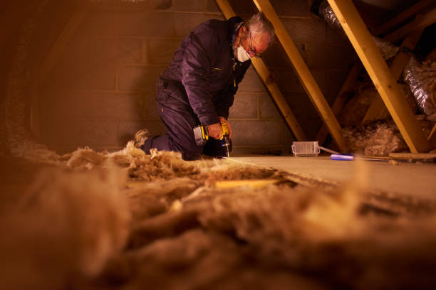 Best Types of Insulation in Lodi, CA